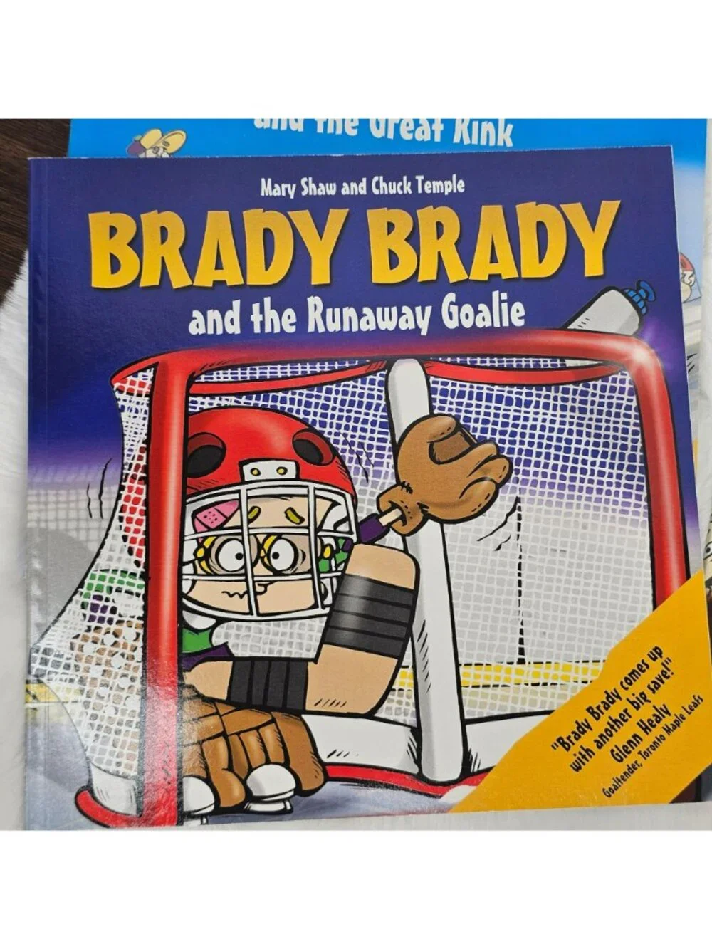 Brady Brady Illustrated Childrens Hockey Book Set By Mary Shaw - Lot Of 7 Titles